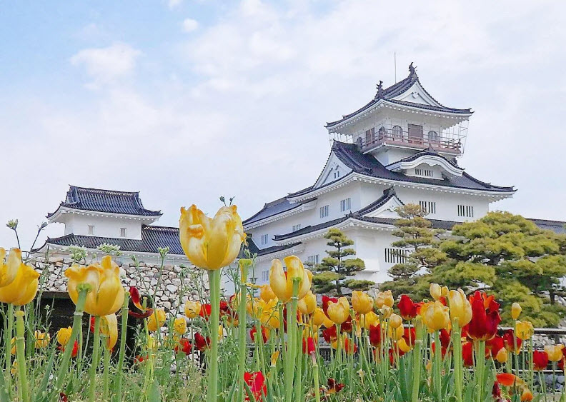 Toyama Castle, Japan
